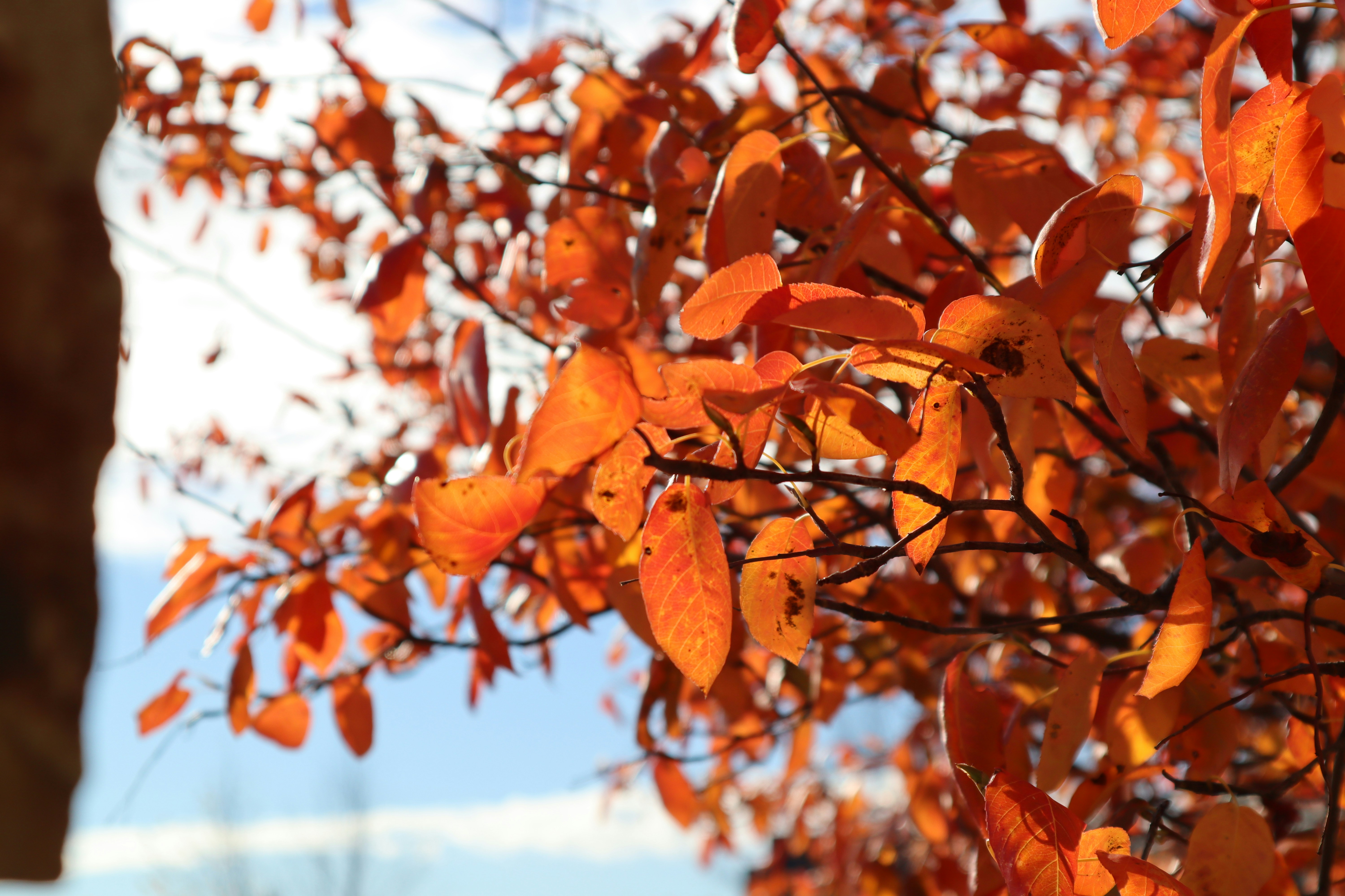 Photo by channel82_fvinc