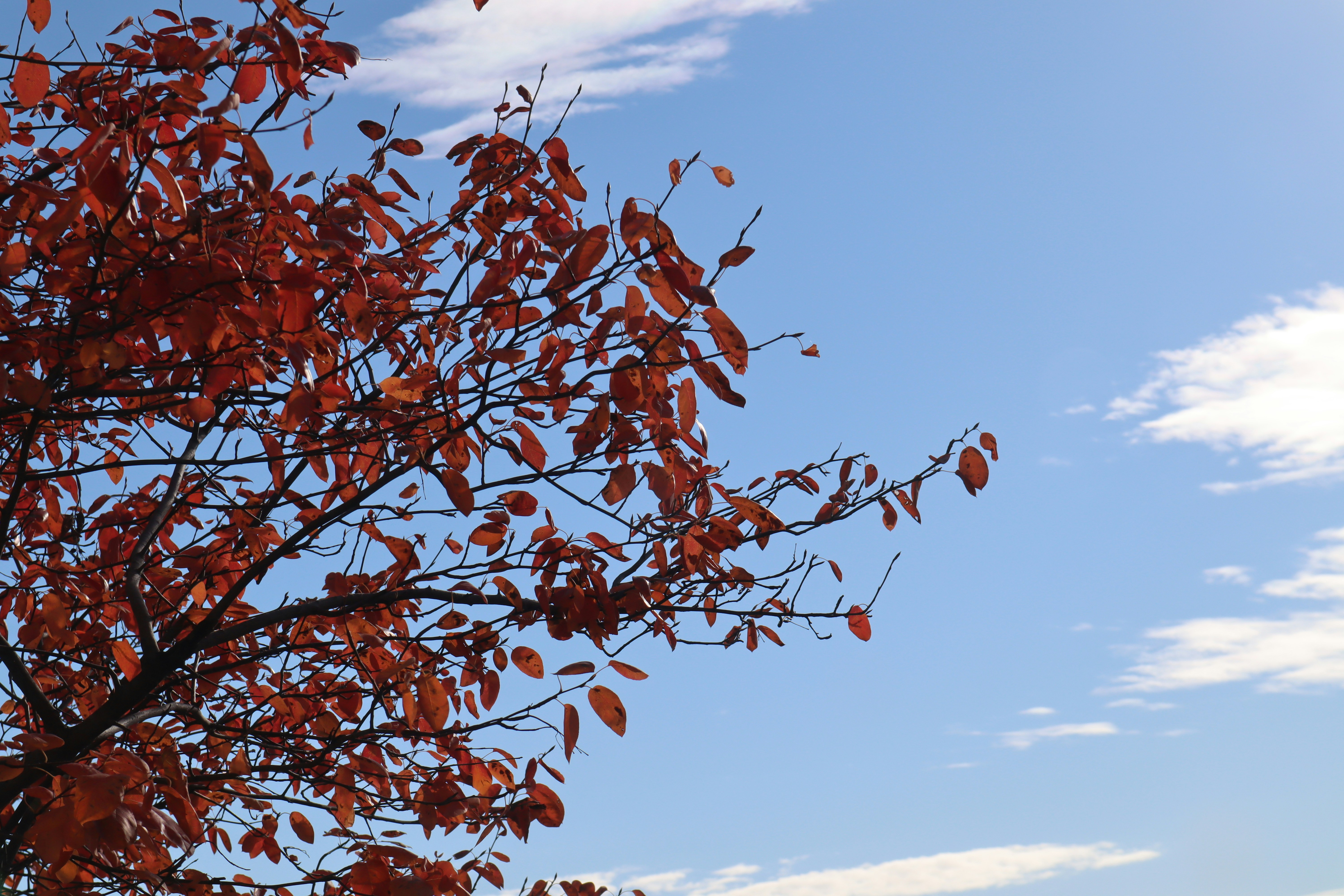 Photo by channel82_fvinc