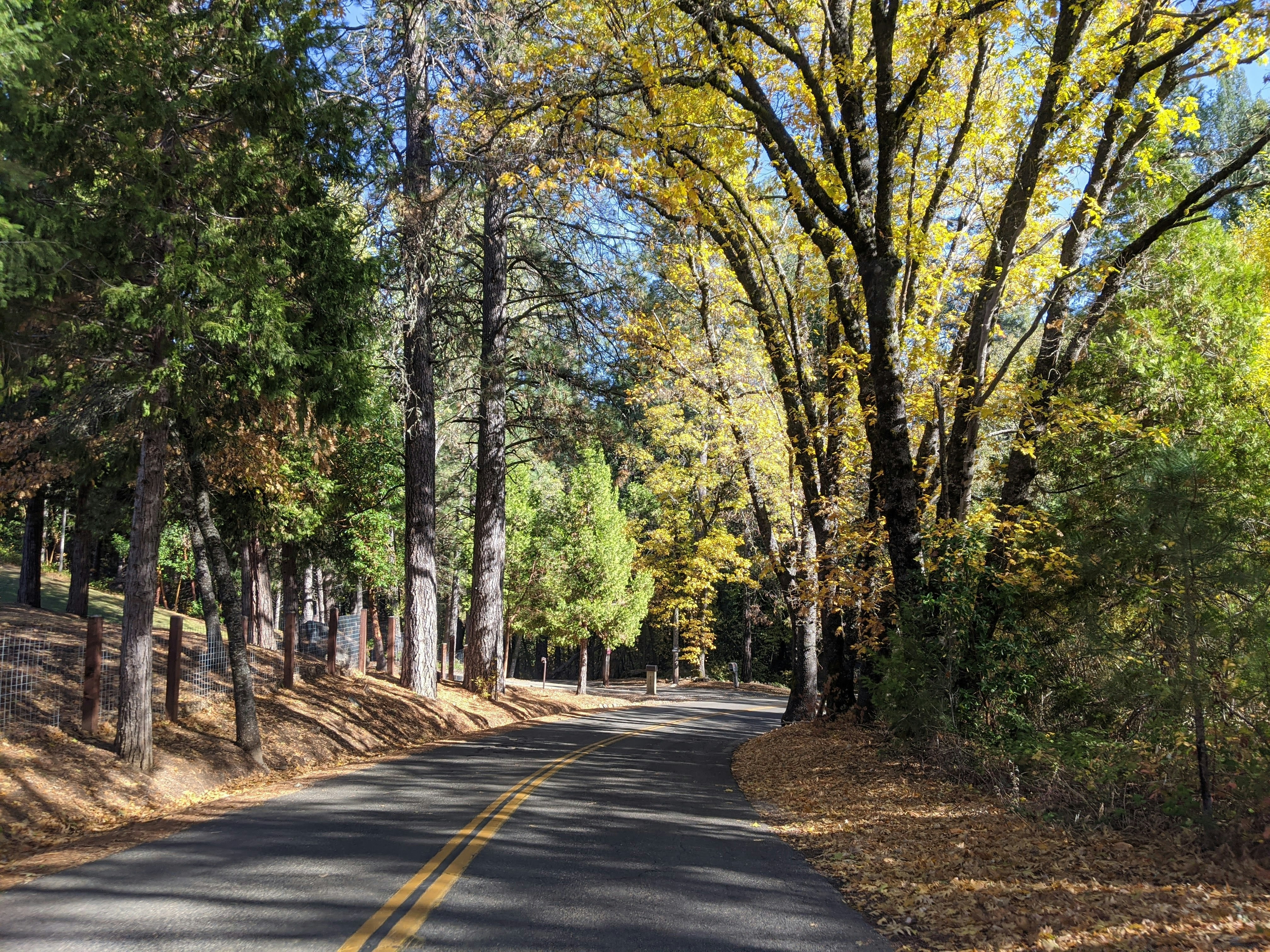 Photo by earth_to_cor