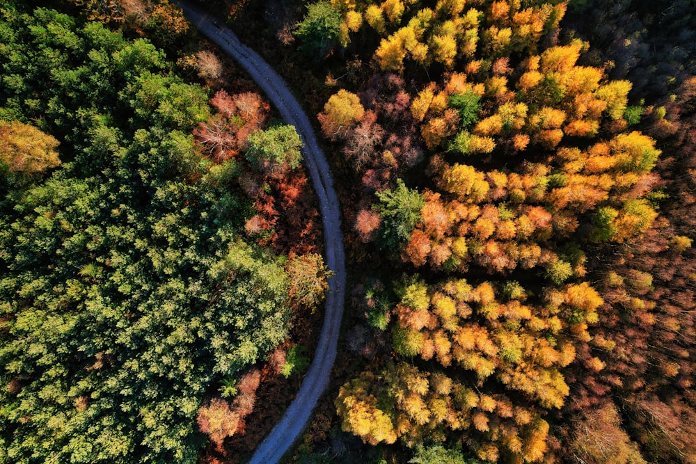 an aerial view of a winding road surrounded by trees