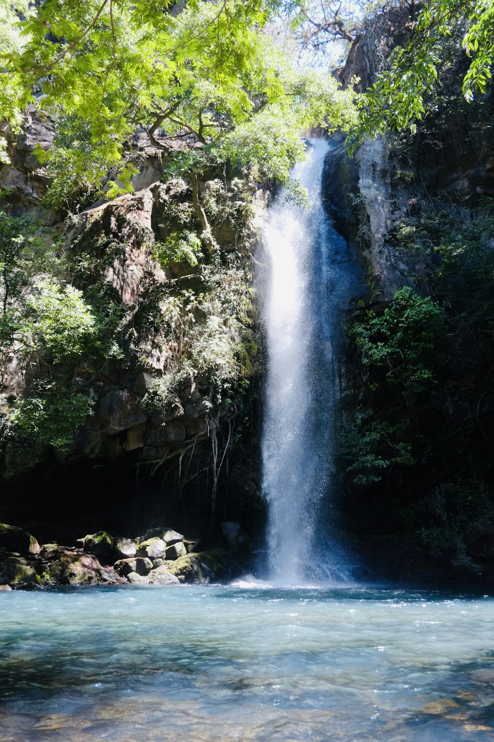 a large waterfall in the middle of a forest