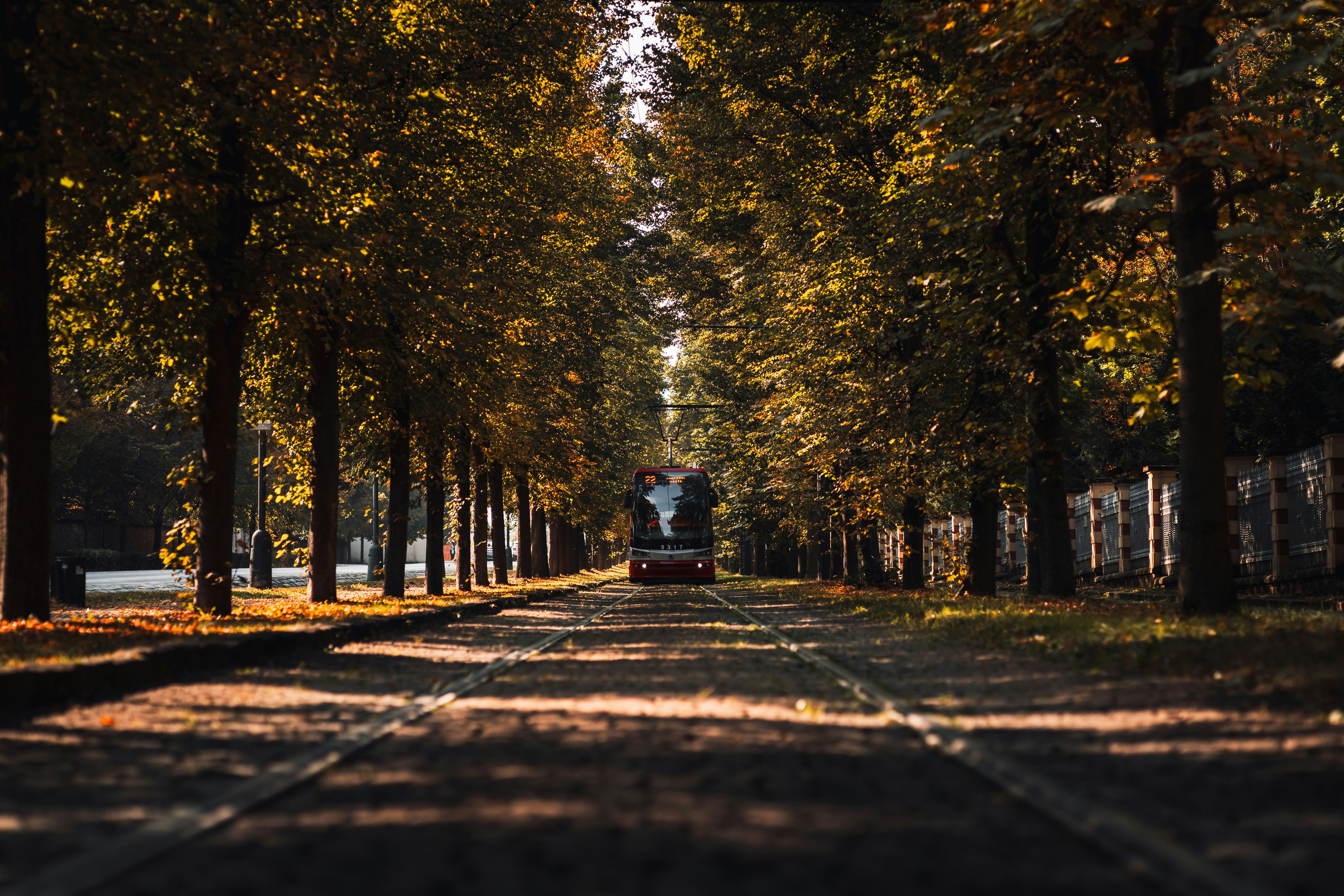 Photo by capturesbybjarne