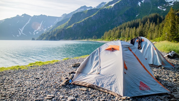 27 Must-Have Items: The Best Survival Gear to Keep You Thriving in the Wild!