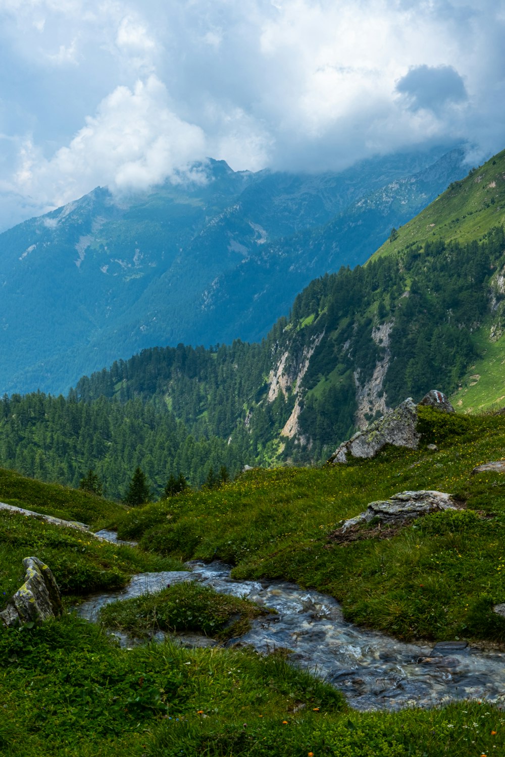 a stream running through a lush green hillside