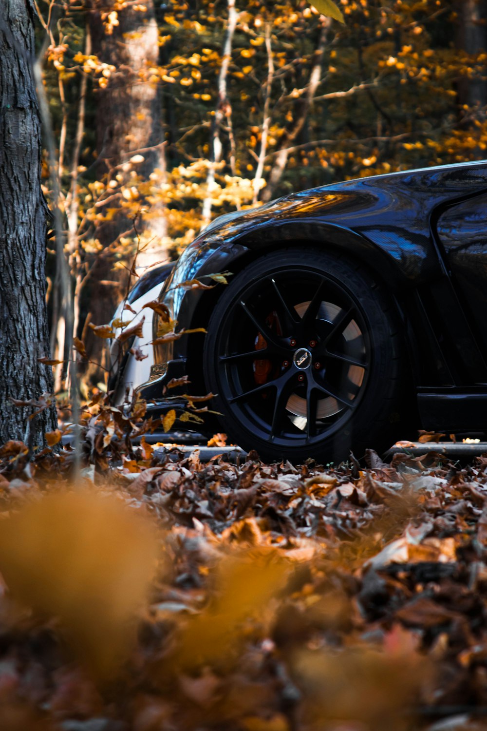Une voiture de sport noire garée à côté d’un arbre
