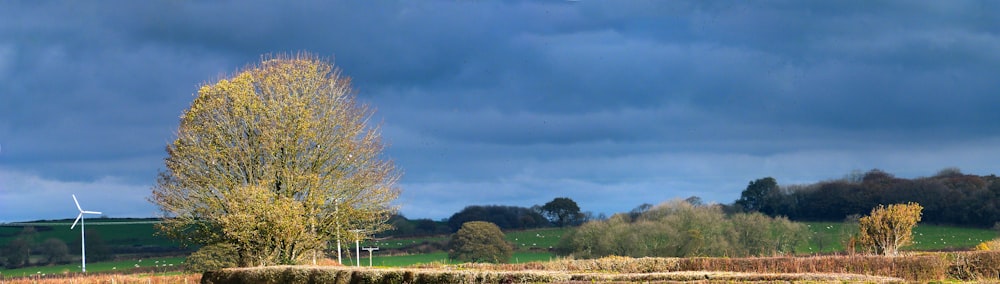 a field with hay bales and a wind turbine in the background