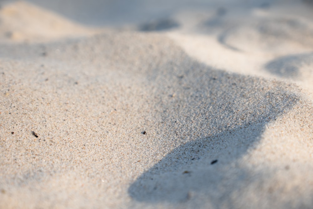 a shadow of a person standing in the sand