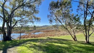 A serene view of a recreational land ideal for outdoor activities.