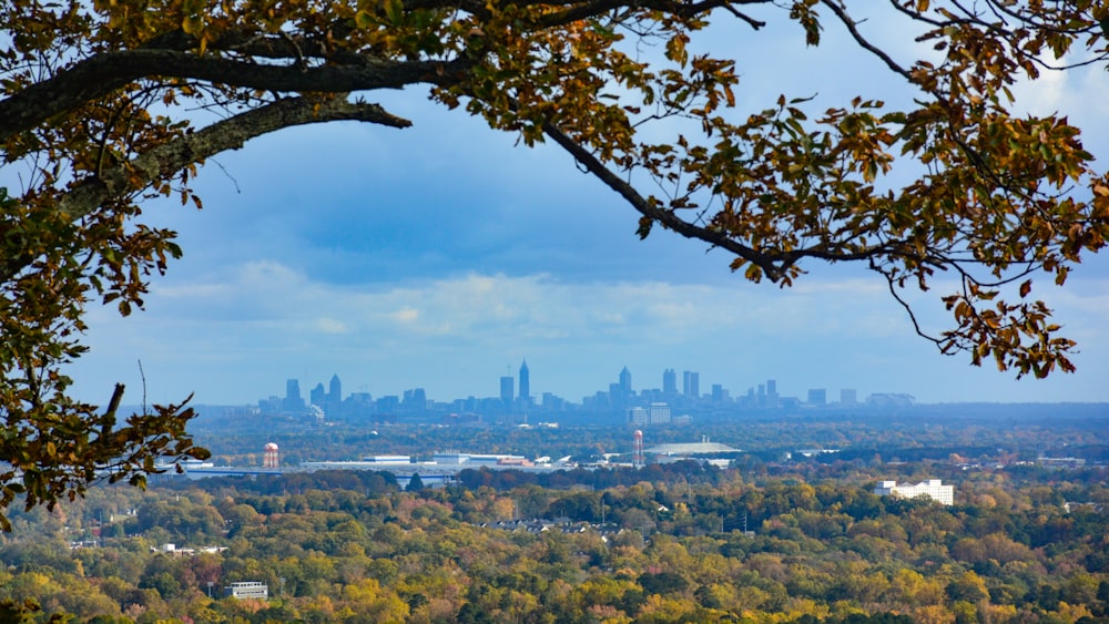 a view of a city from the top of a hill