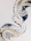 An abstract design of swirling patterns resembling organic or cellular structures, featuring a mix of fluid shapes and textures in a harmonious arrangement.