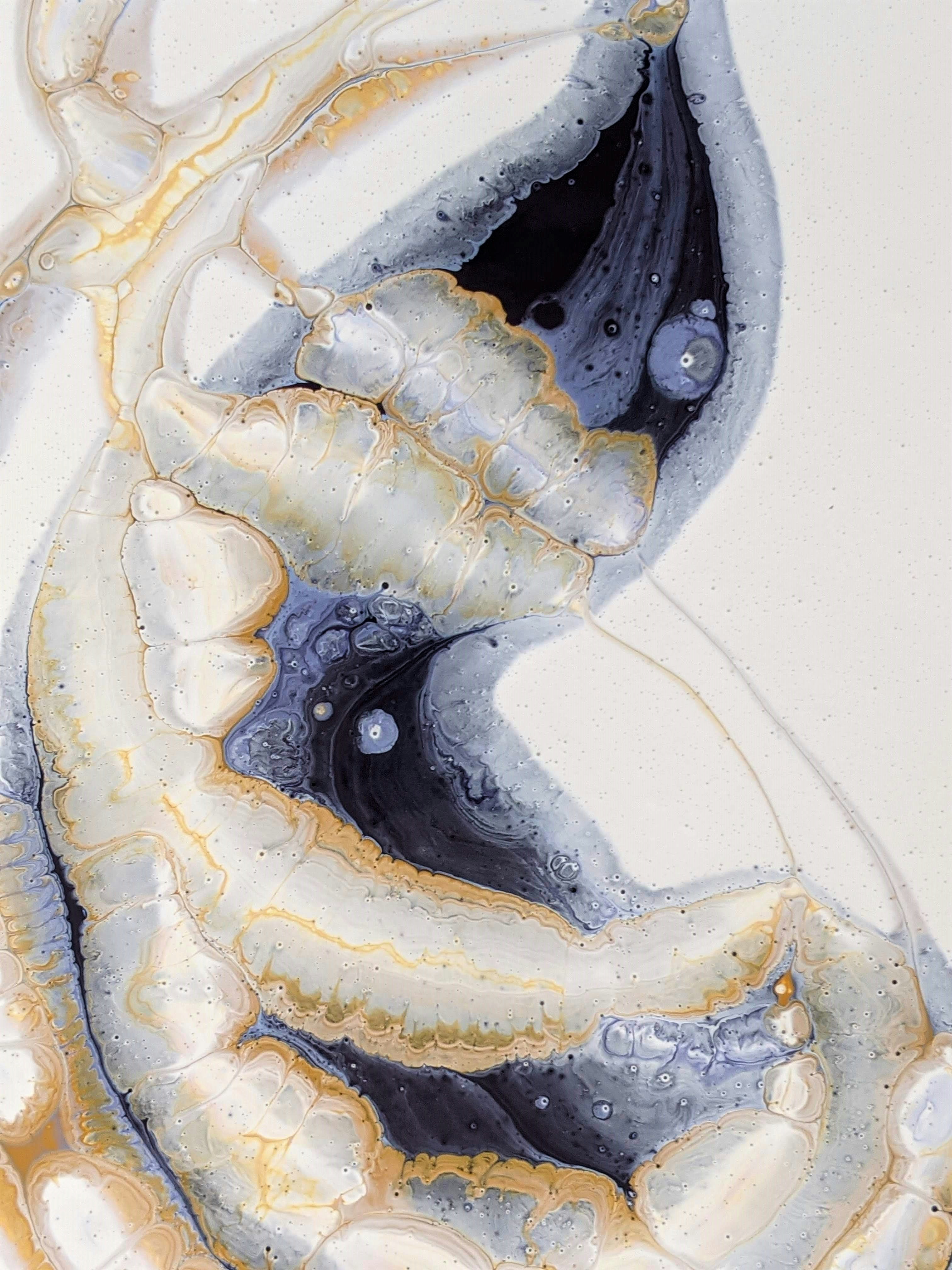 Photo by susan_wilkinson