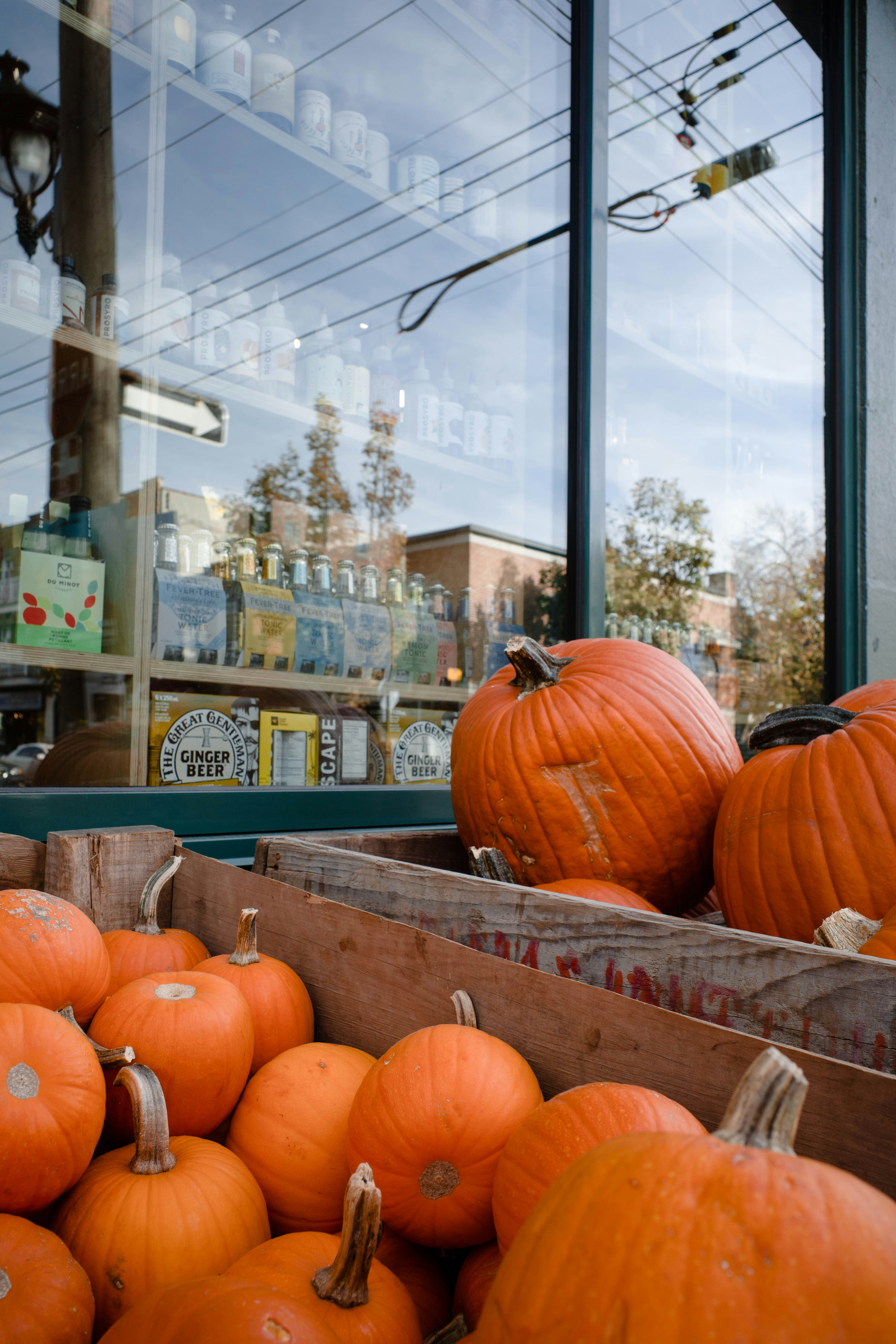 Thanksgiving Window Displays