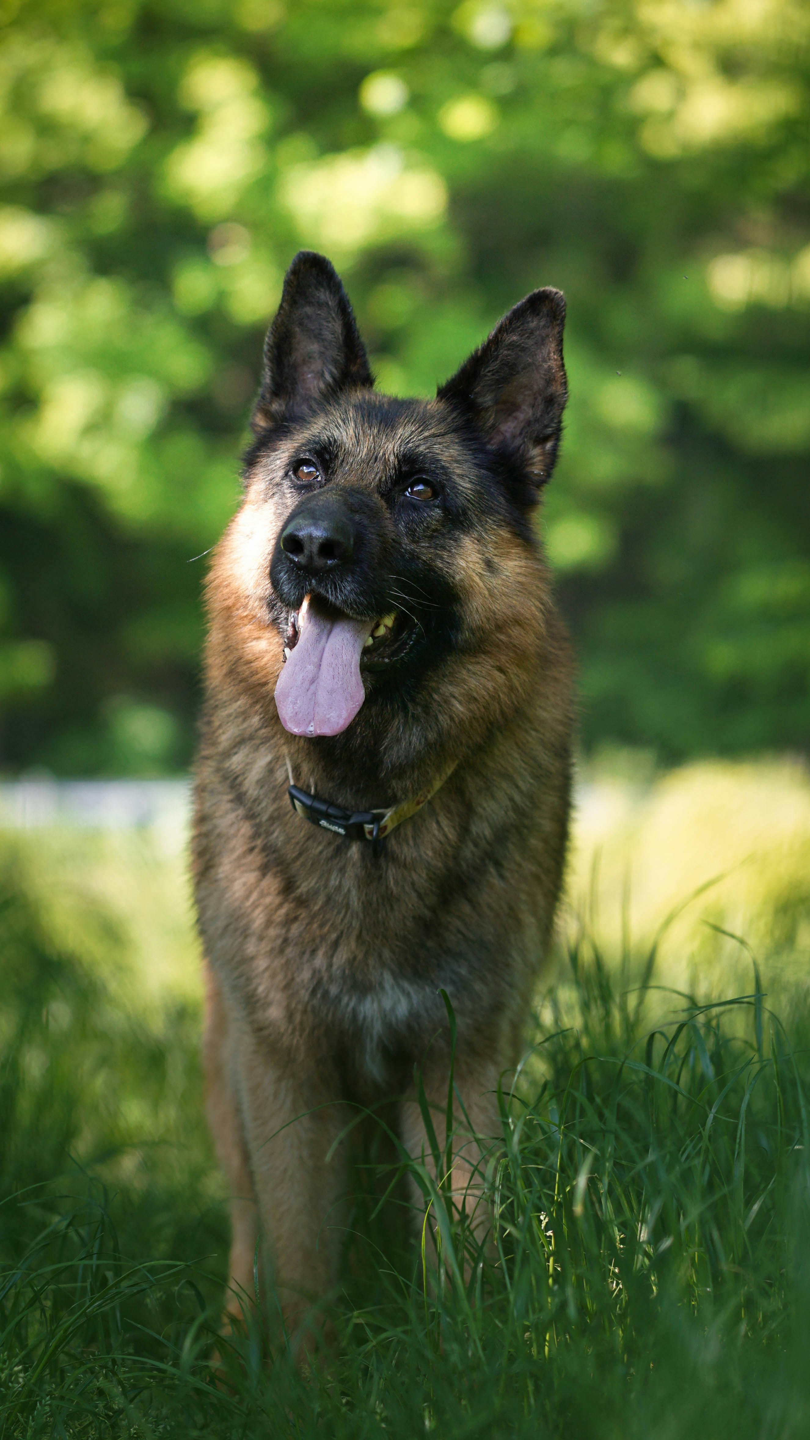 Photo by annadudkova