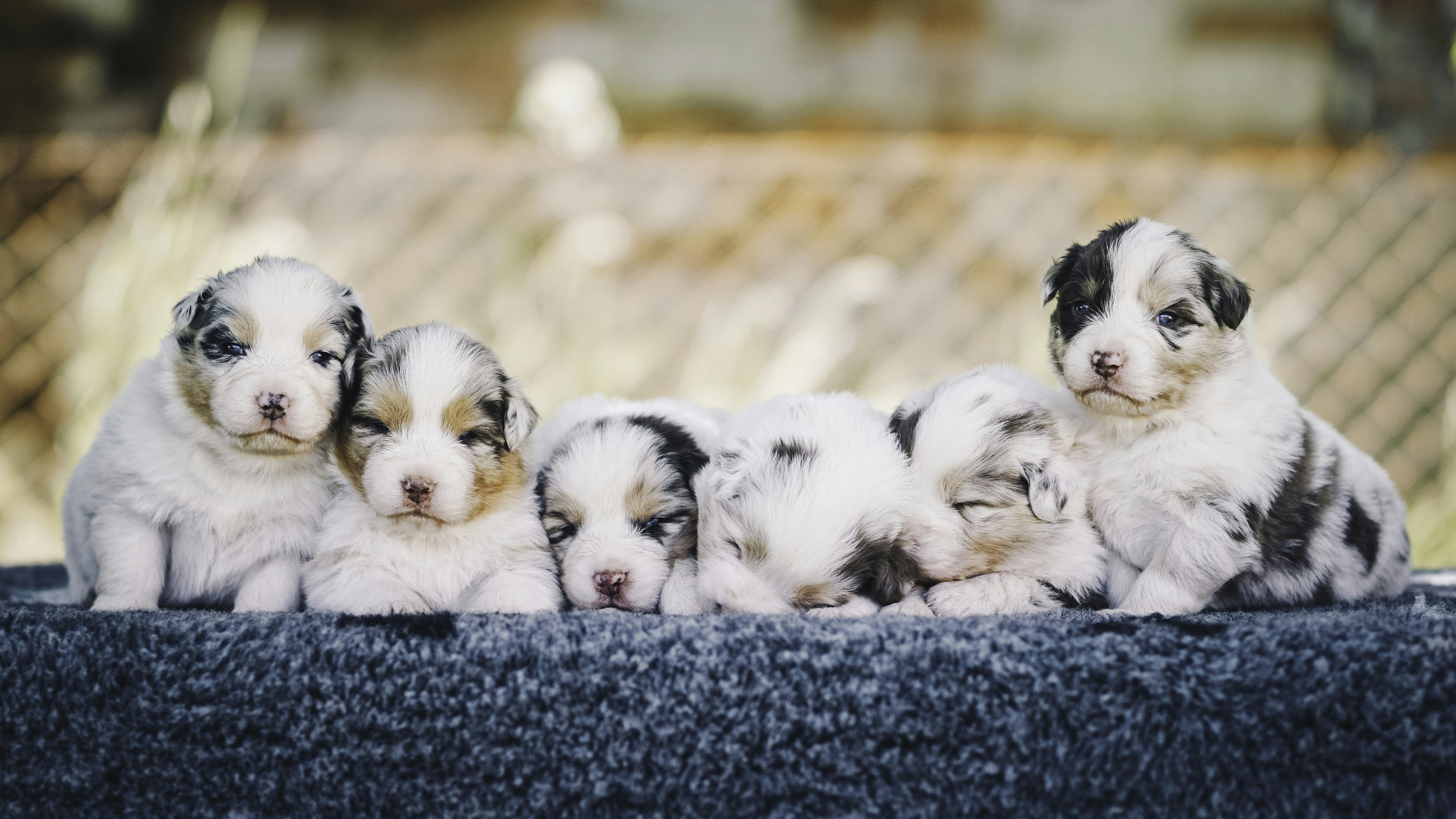 Photo by annadudkova