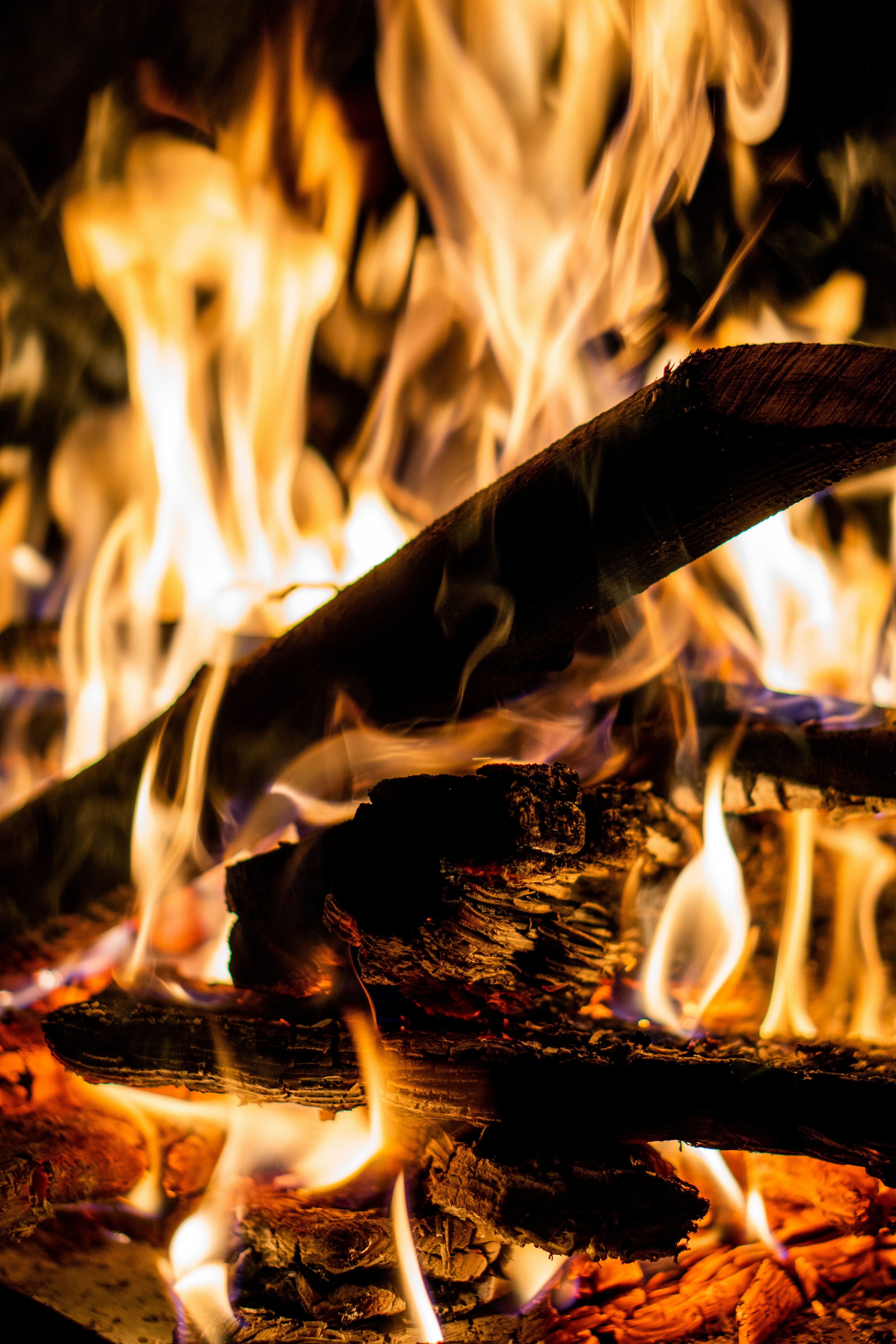 Photo by lopresti_enzo