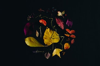 A vibrant collage of seasonal clipart featuring autumn leaves, winter snowflakes, and spring flowers.