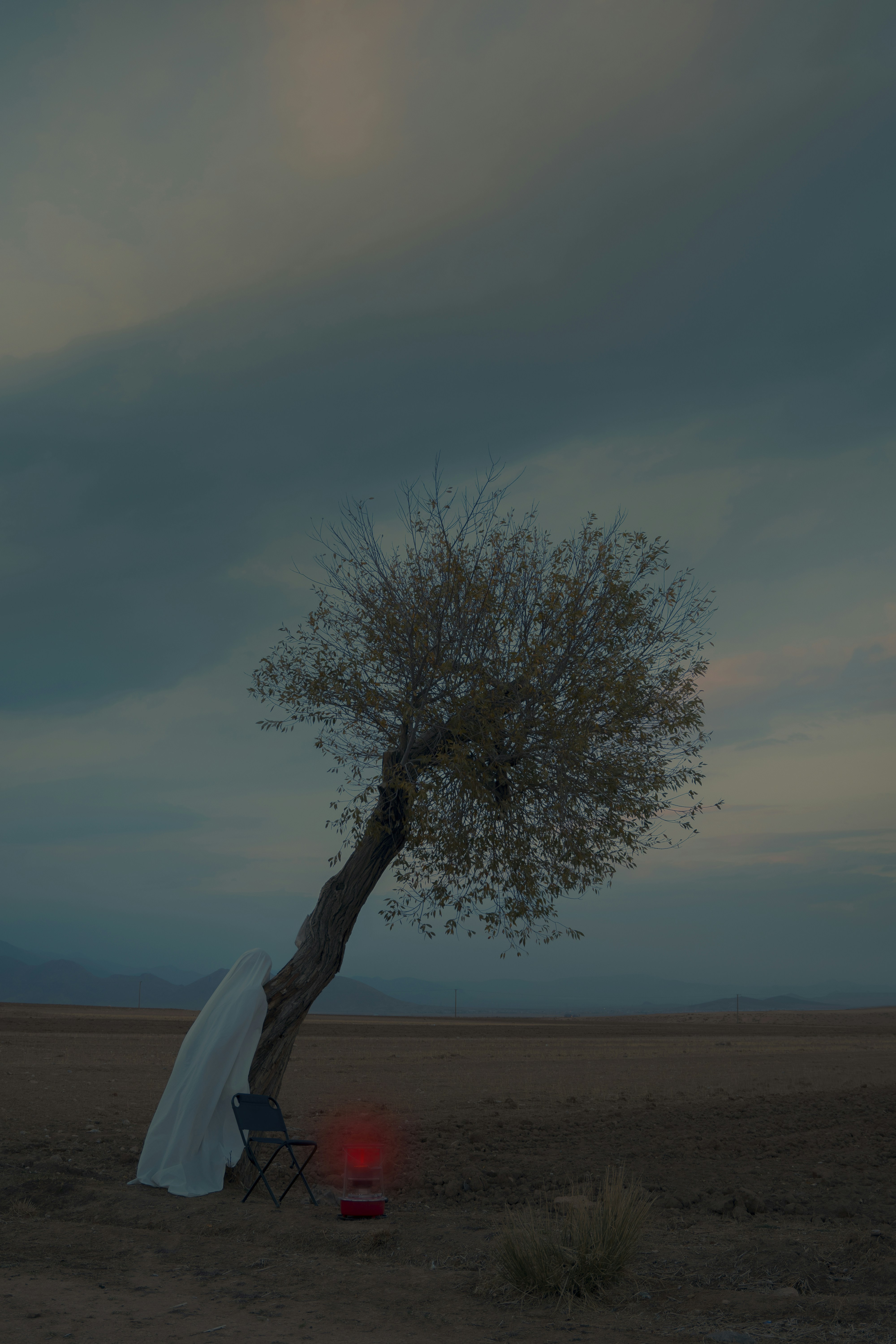 Photo by alikarimibn