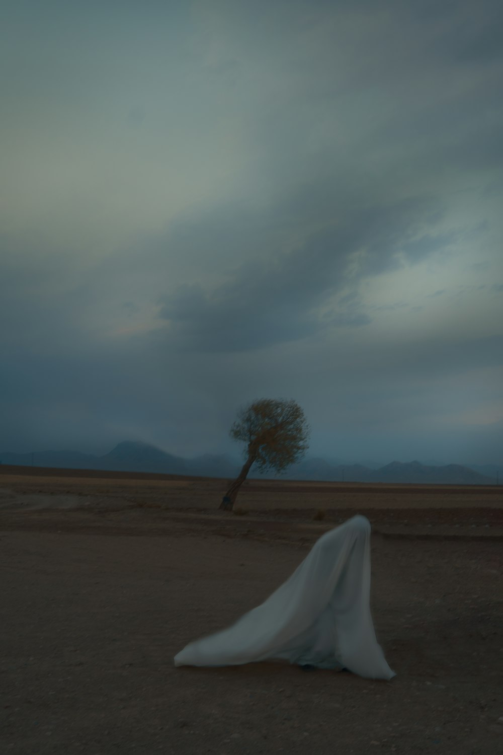 a lone tree in the middle of a desert