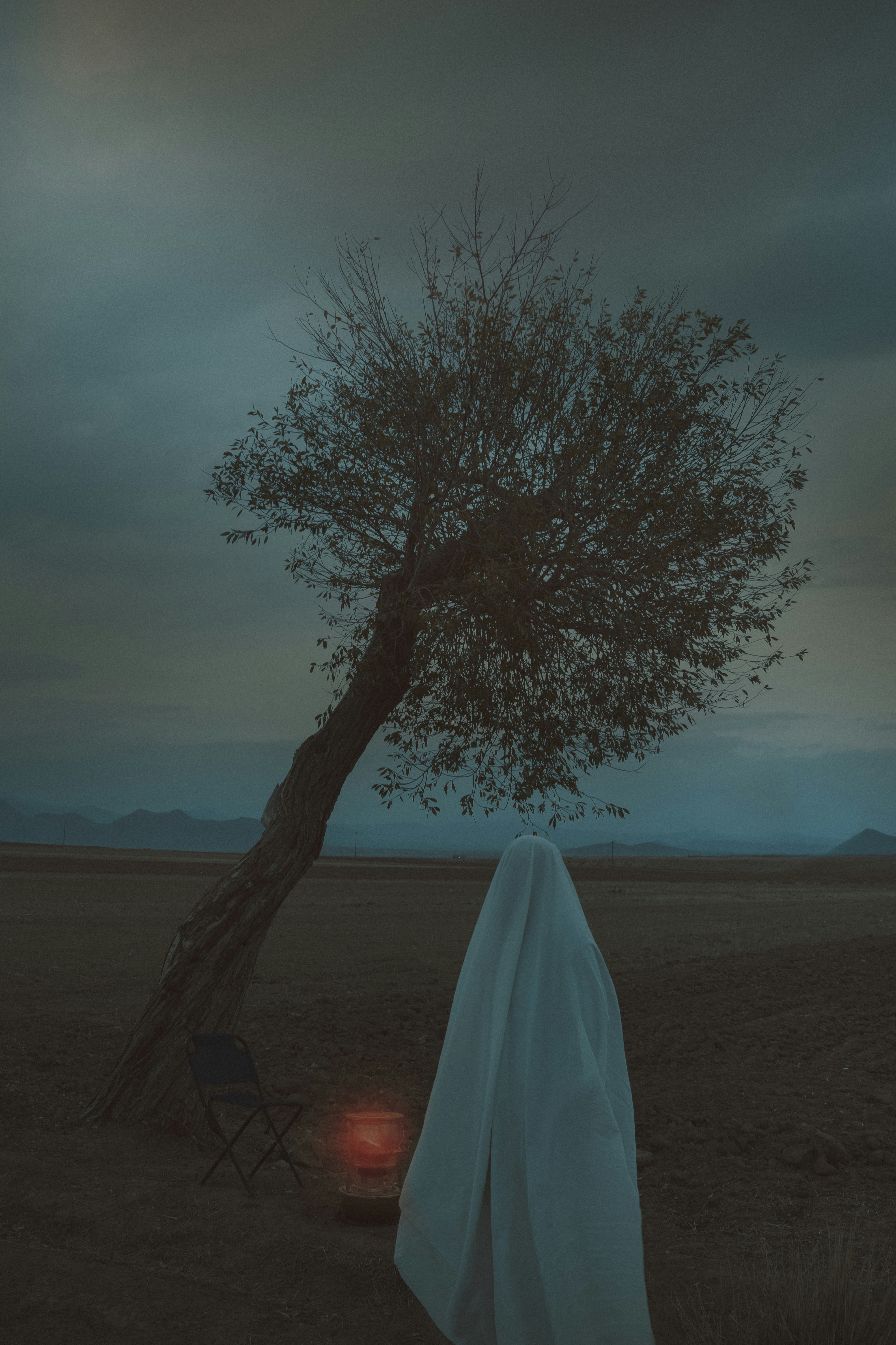 Photo by alikarimibn