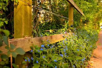 A sunlit wooden fence lined with blooming wildflowers beside a cozy farmhouse garden.