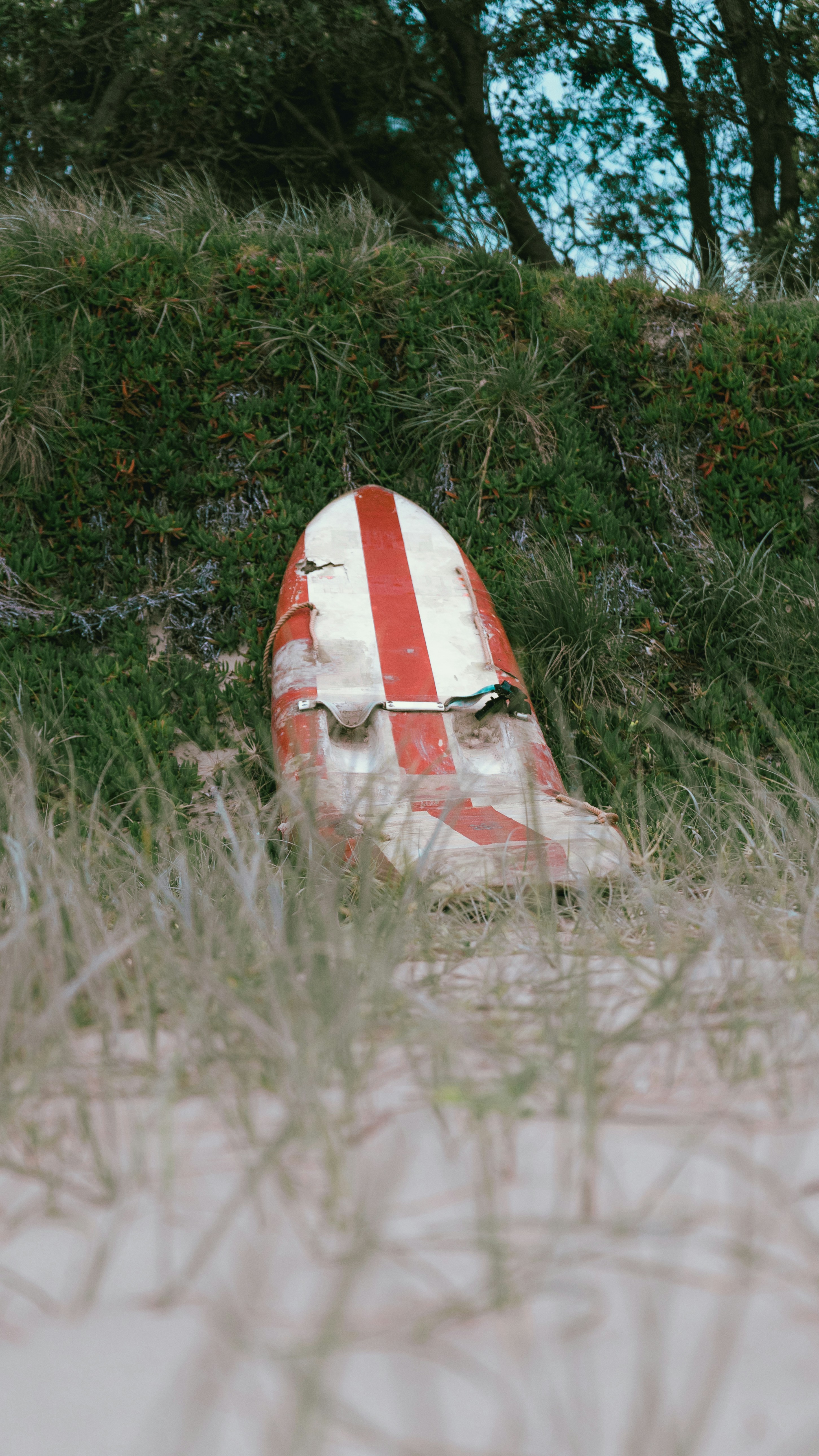 a red and white striped surfboard laying in the grass
