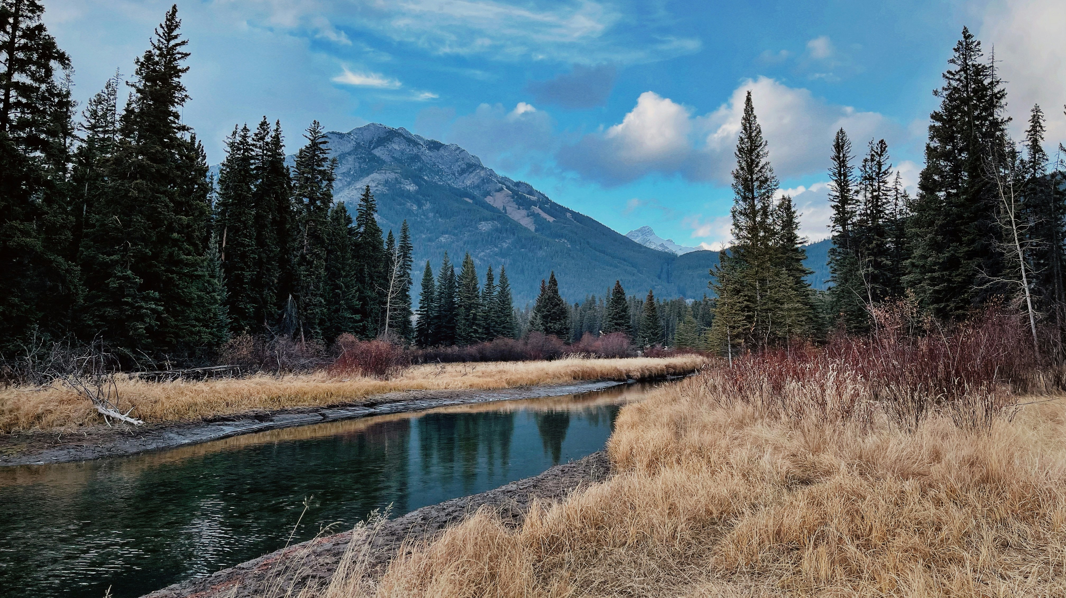 a river running through a lush green forest, Banff when fall becomes winter 