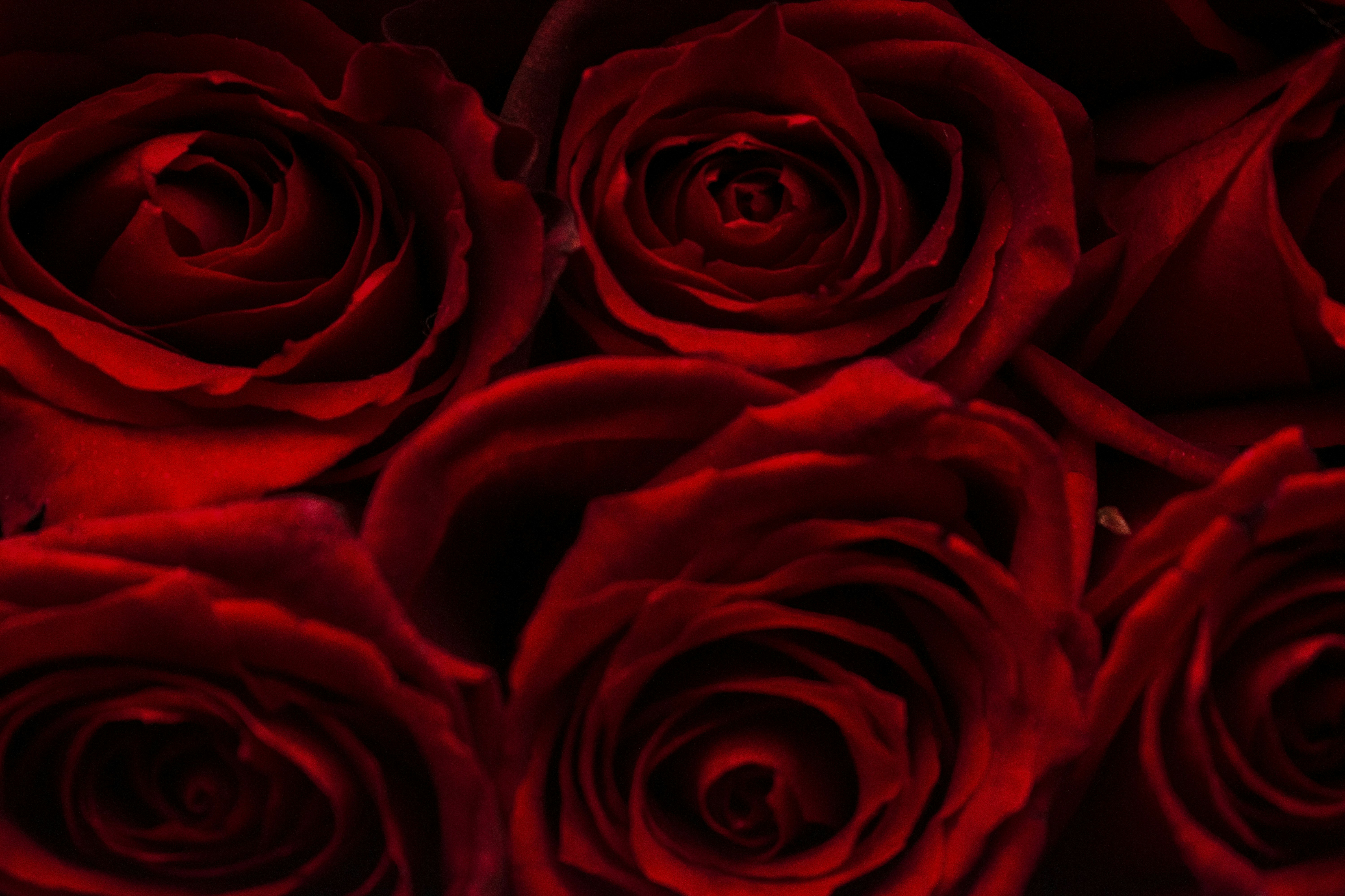 Photo by amirvisuals