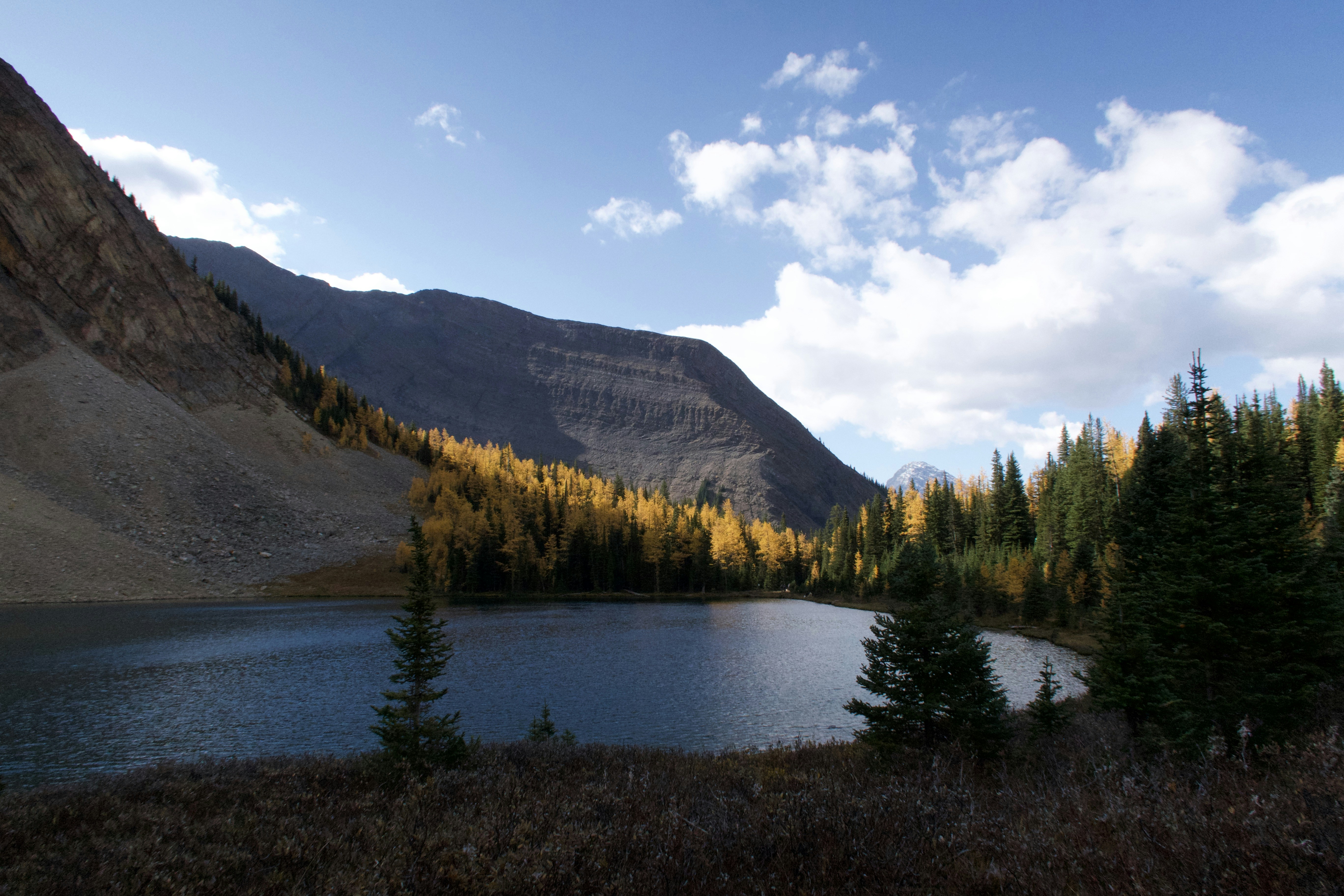 Photo by peacelily234