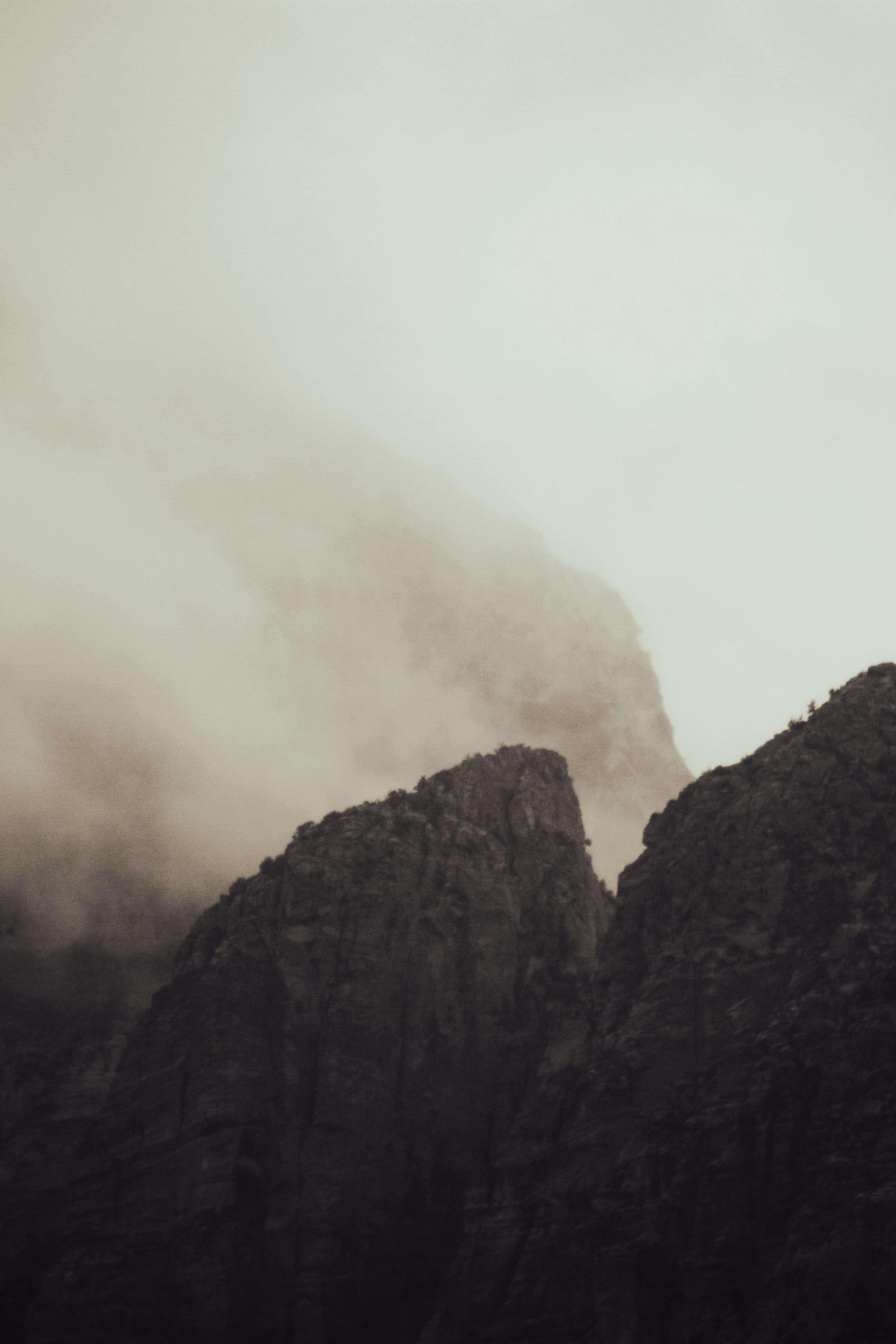 Photo by fergilicious_photos