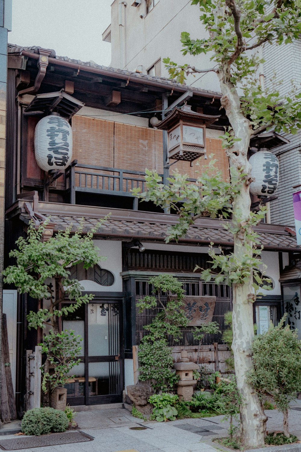 a building with a tree in front of it