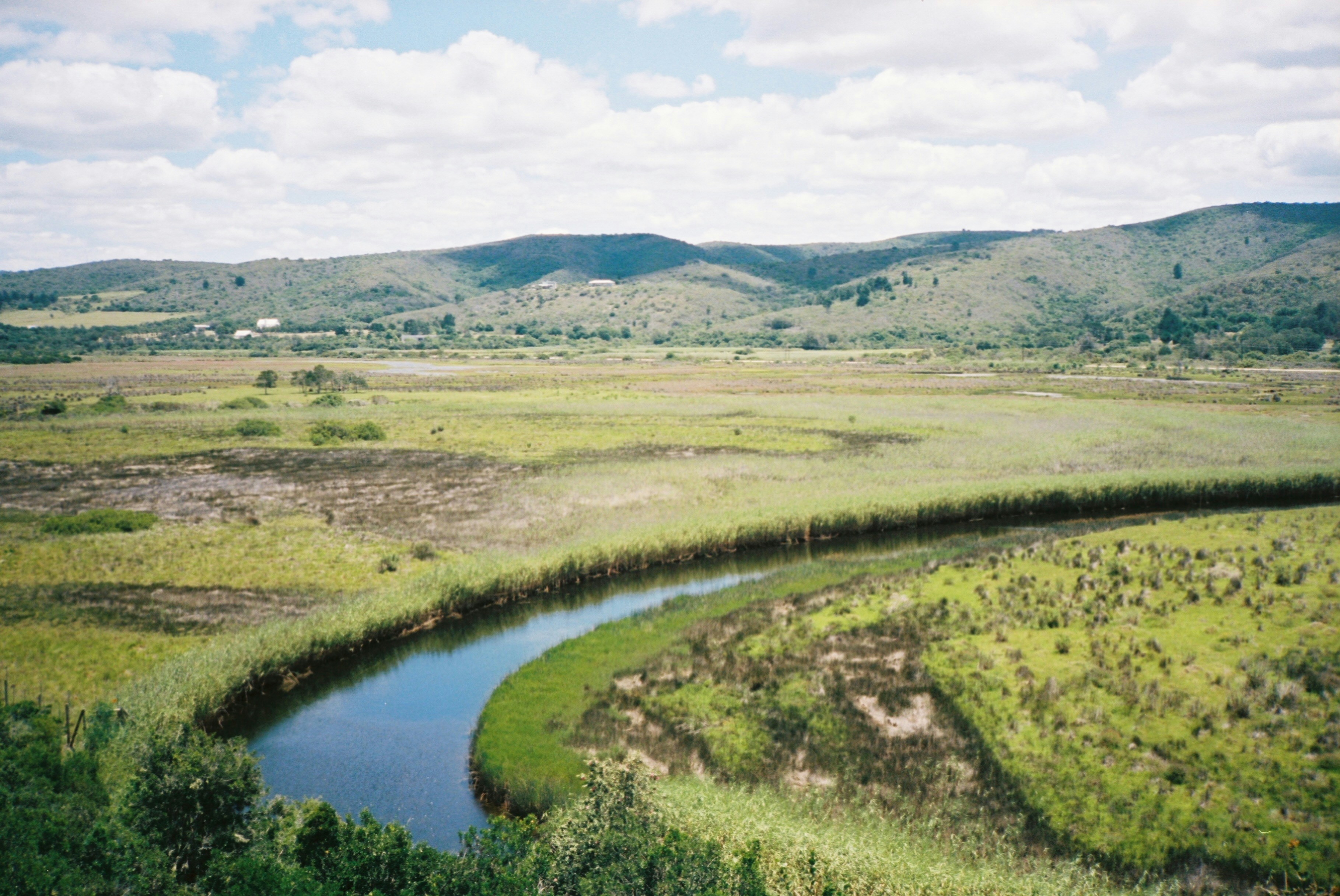 Photo by alexandraellis