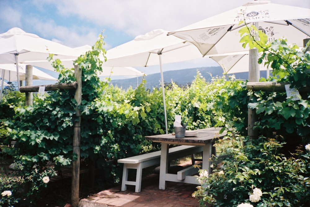 a picnic table with umbrellas in a garden