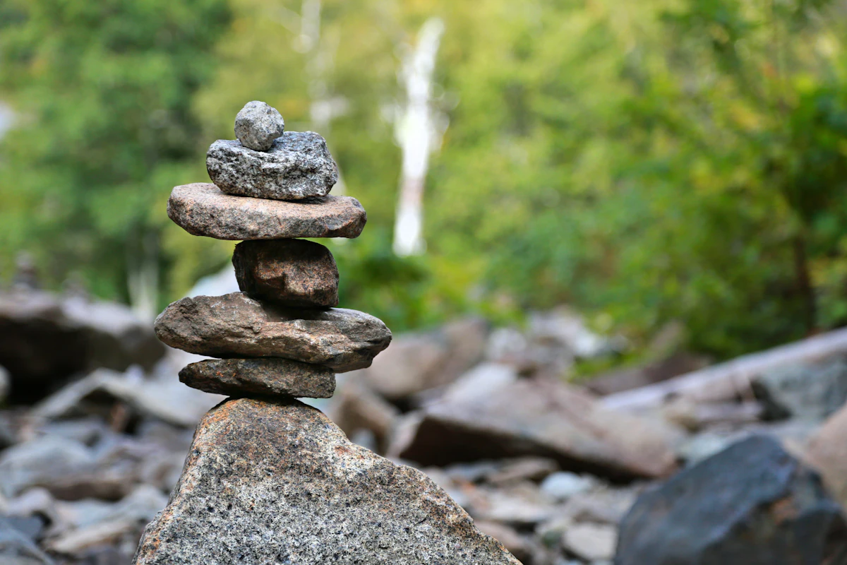 Small stone marker beside a woodland path