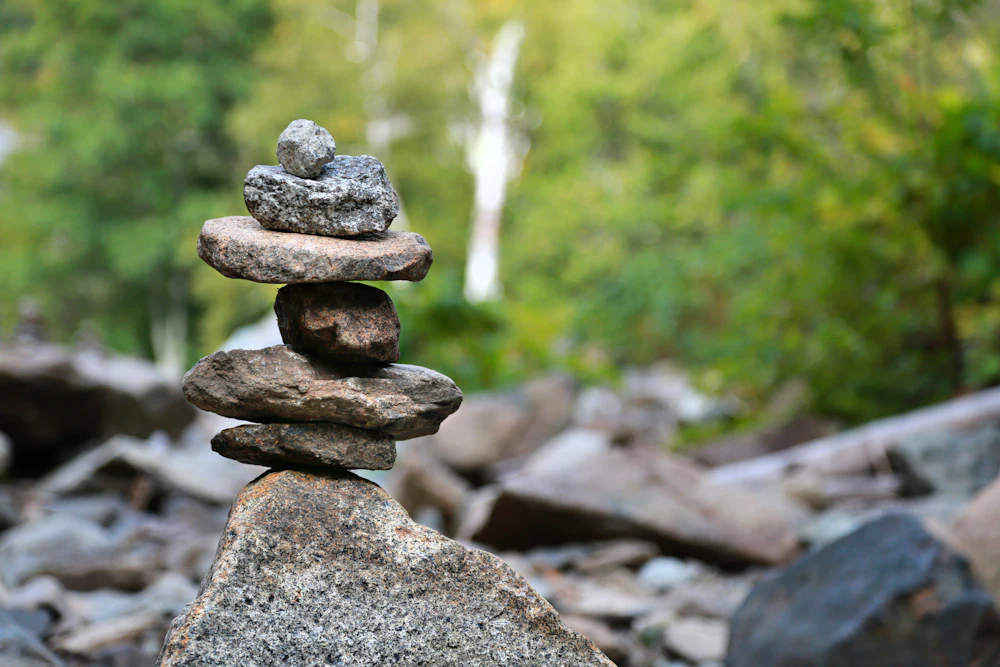 Stacked stone marker on a wooded trail