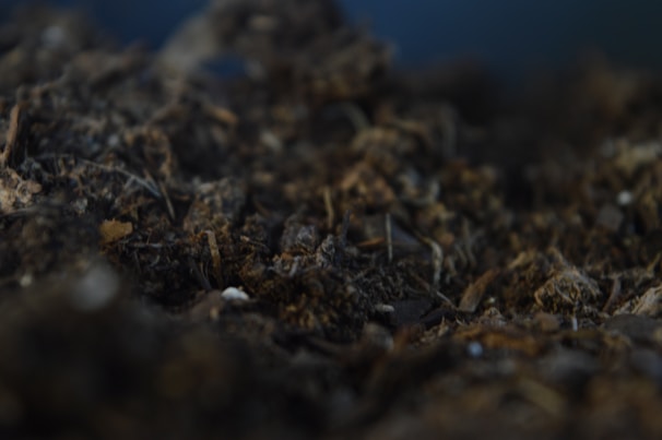 Close-up of rich soil mixed with biochar particles in a farm field.