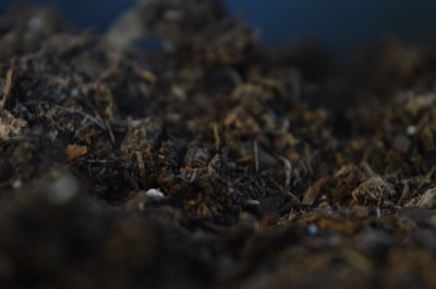 Close-up view of dark, rich soil with various organic materials and small debris mixed in.