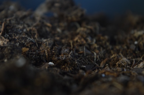 Close-up view of dark, rich soil with various organic materials and small debris mixed in.