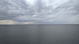 A calm ocean extends towards the horizon under a cloudy sky. Subtle variations in the clouds suggest overcast weather with hints of sunlight peeking through. The open water is tranquil, with slight ripples visible on the surface.