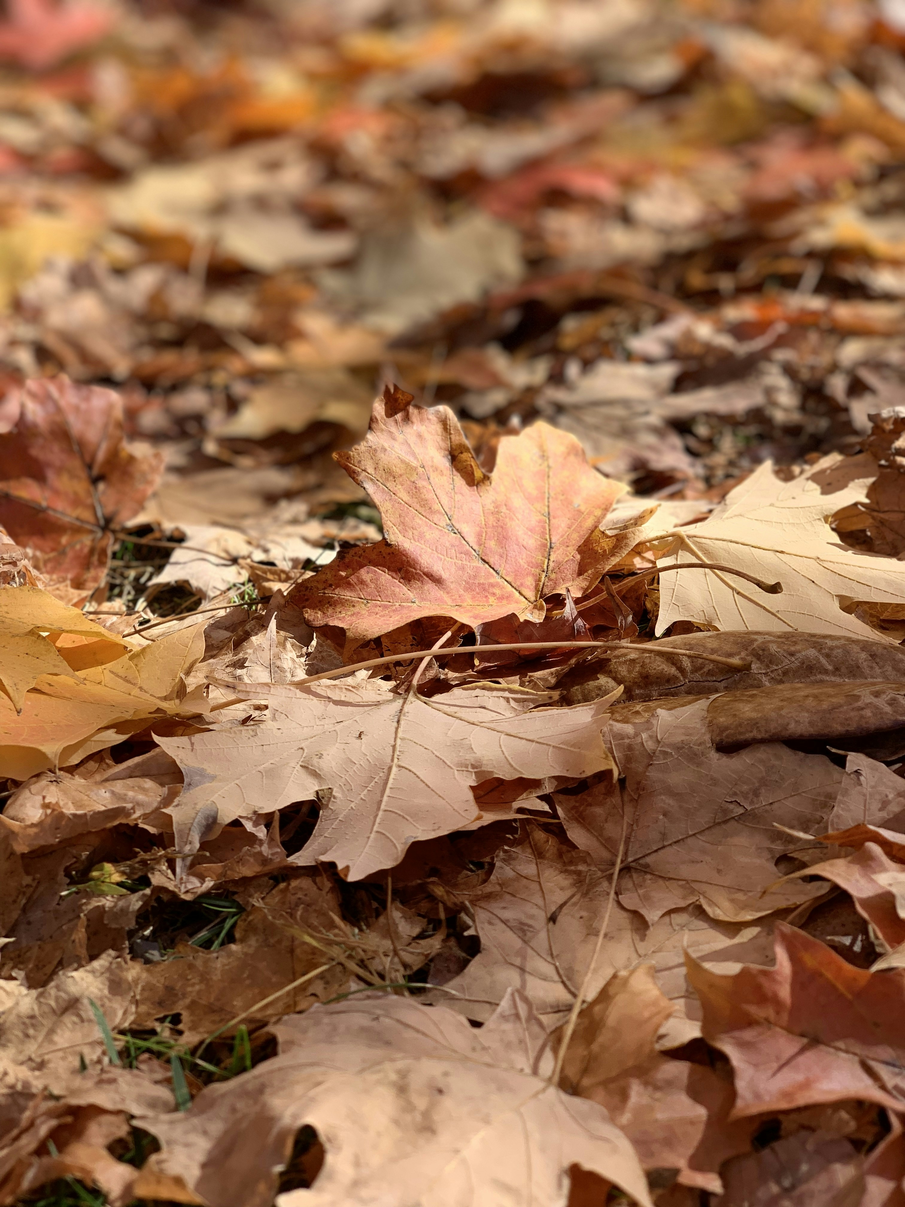 Photo by brian_andrew