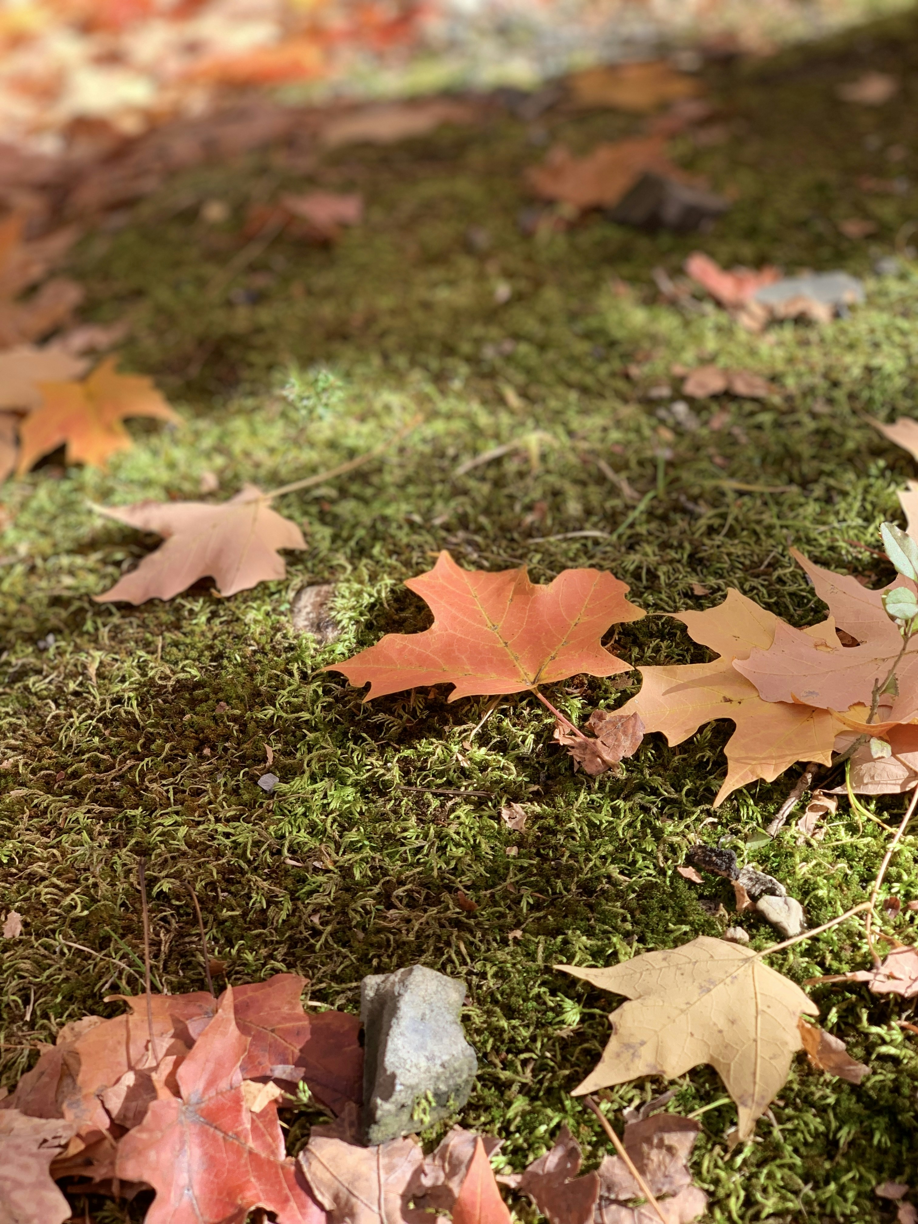 Photo by brian_andrew