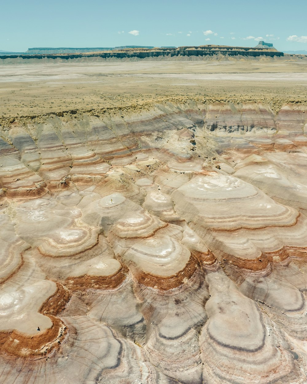 a vast expanse of land with a mountain in the background