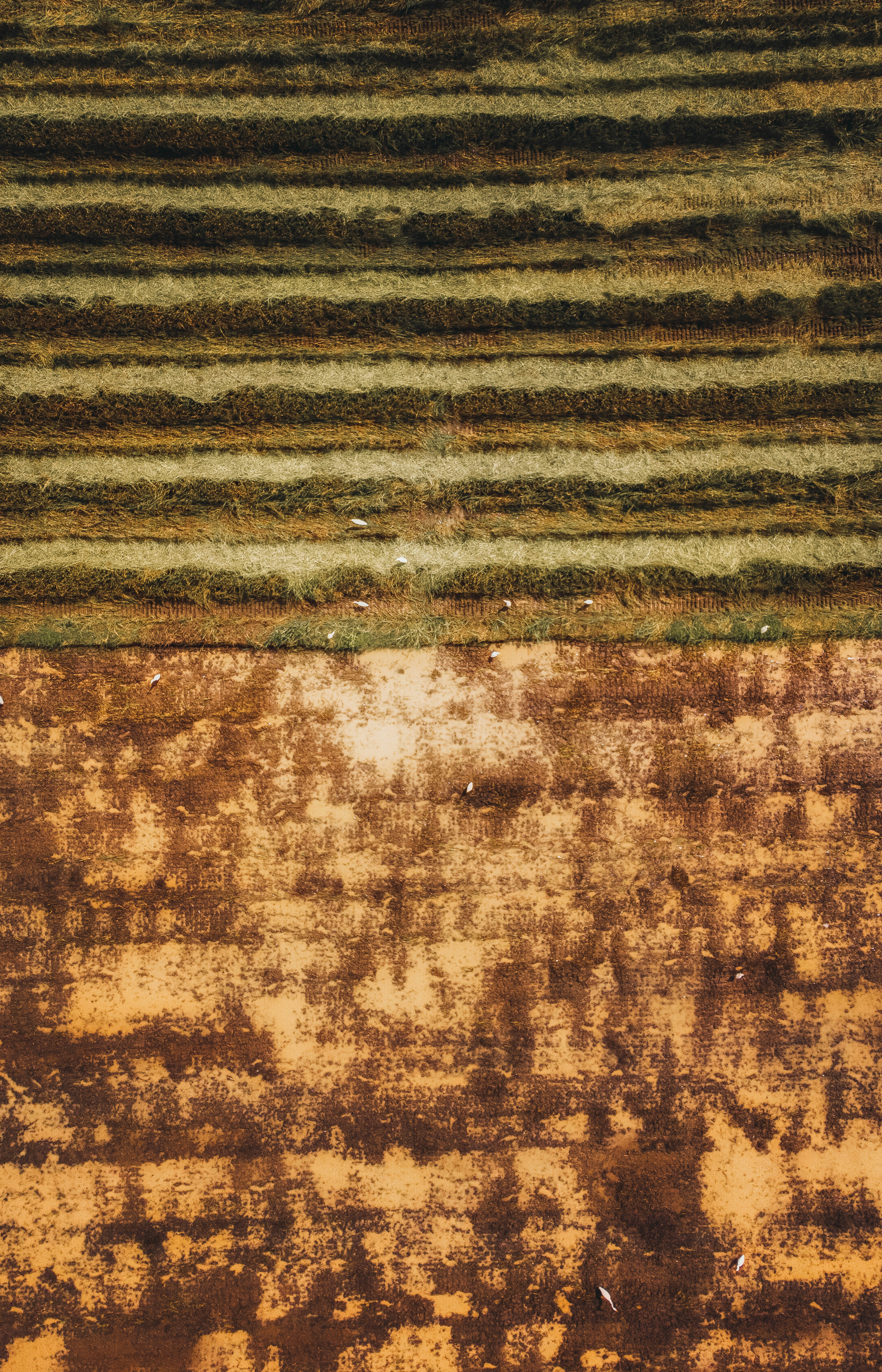 Photo by abuzahrapic