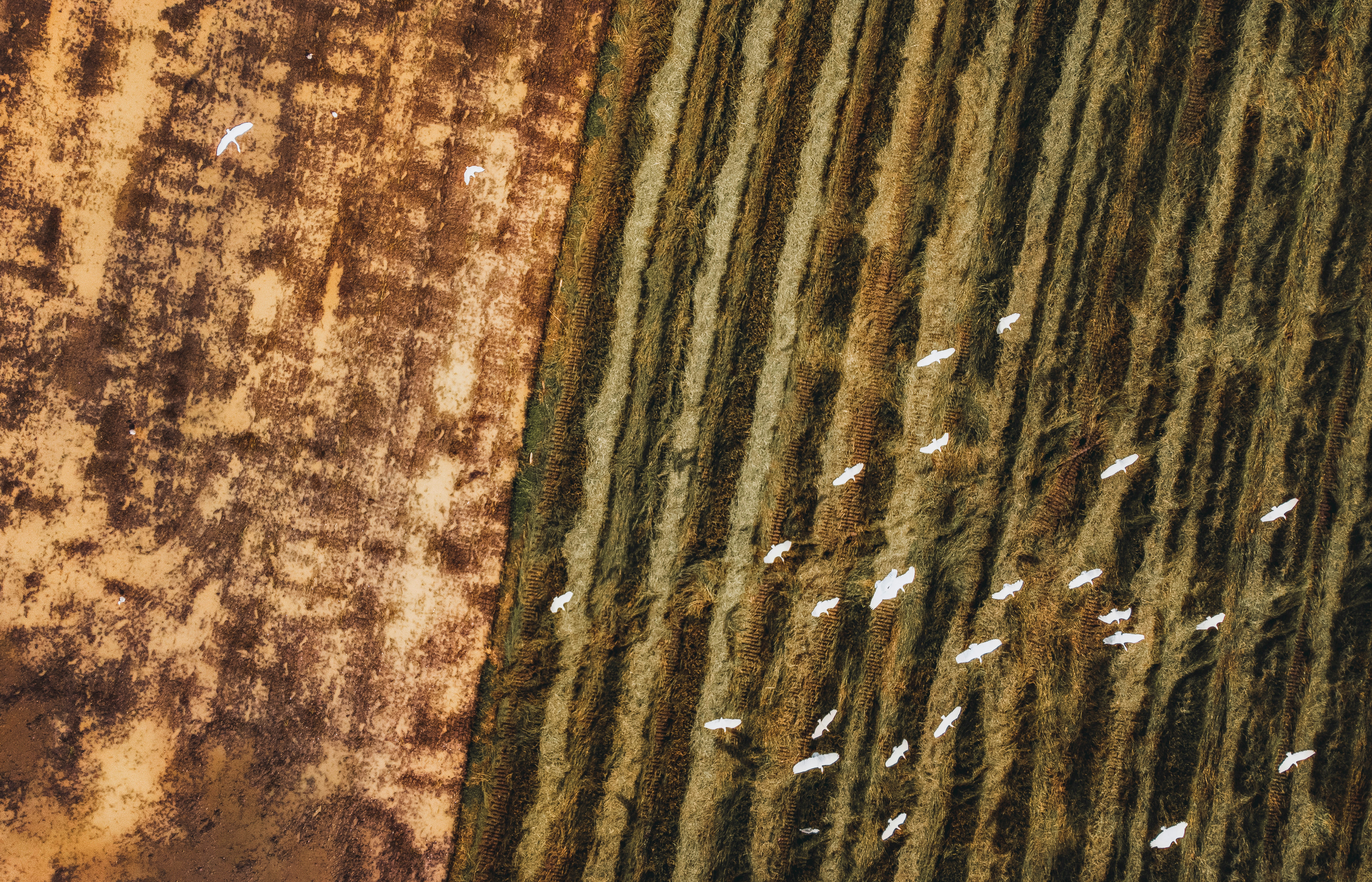 Photo by abuzahrapic