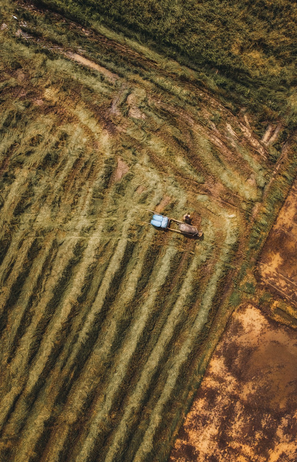 an aerial view of a farm field with a tractor