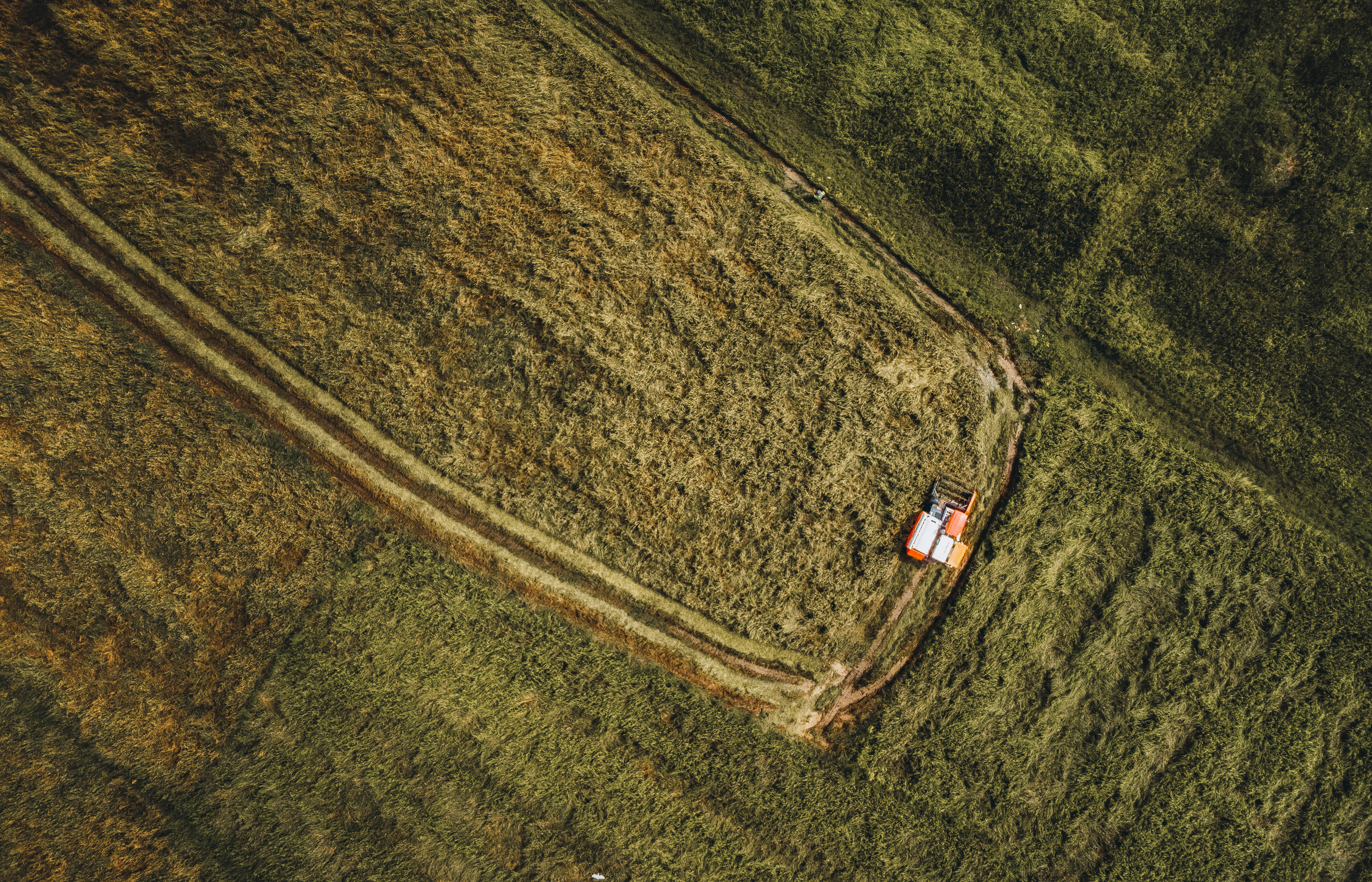 Photo by abuzahrapic