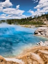 a body of water surrounded by a forest