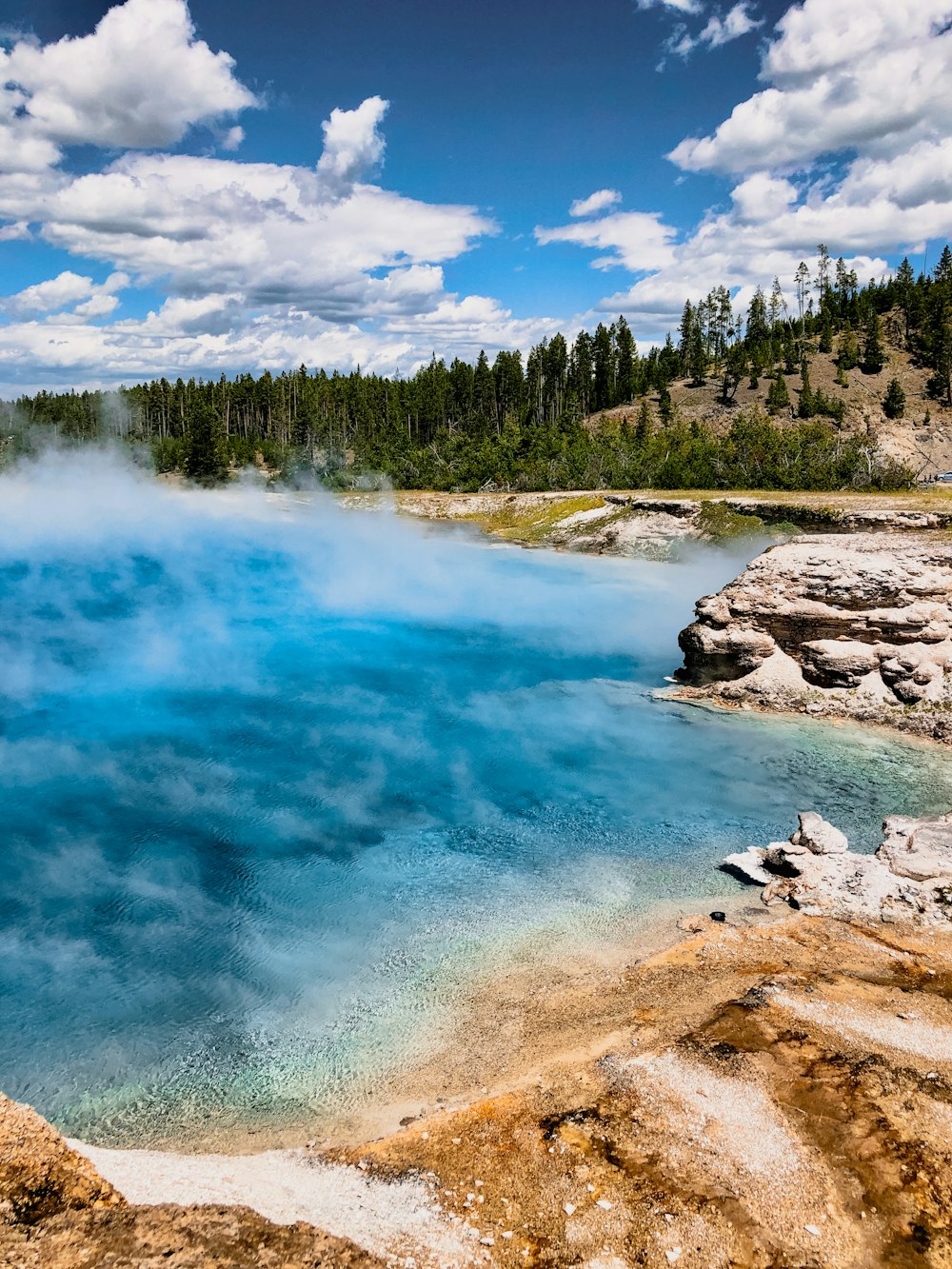 a body of water surrounded by a forest