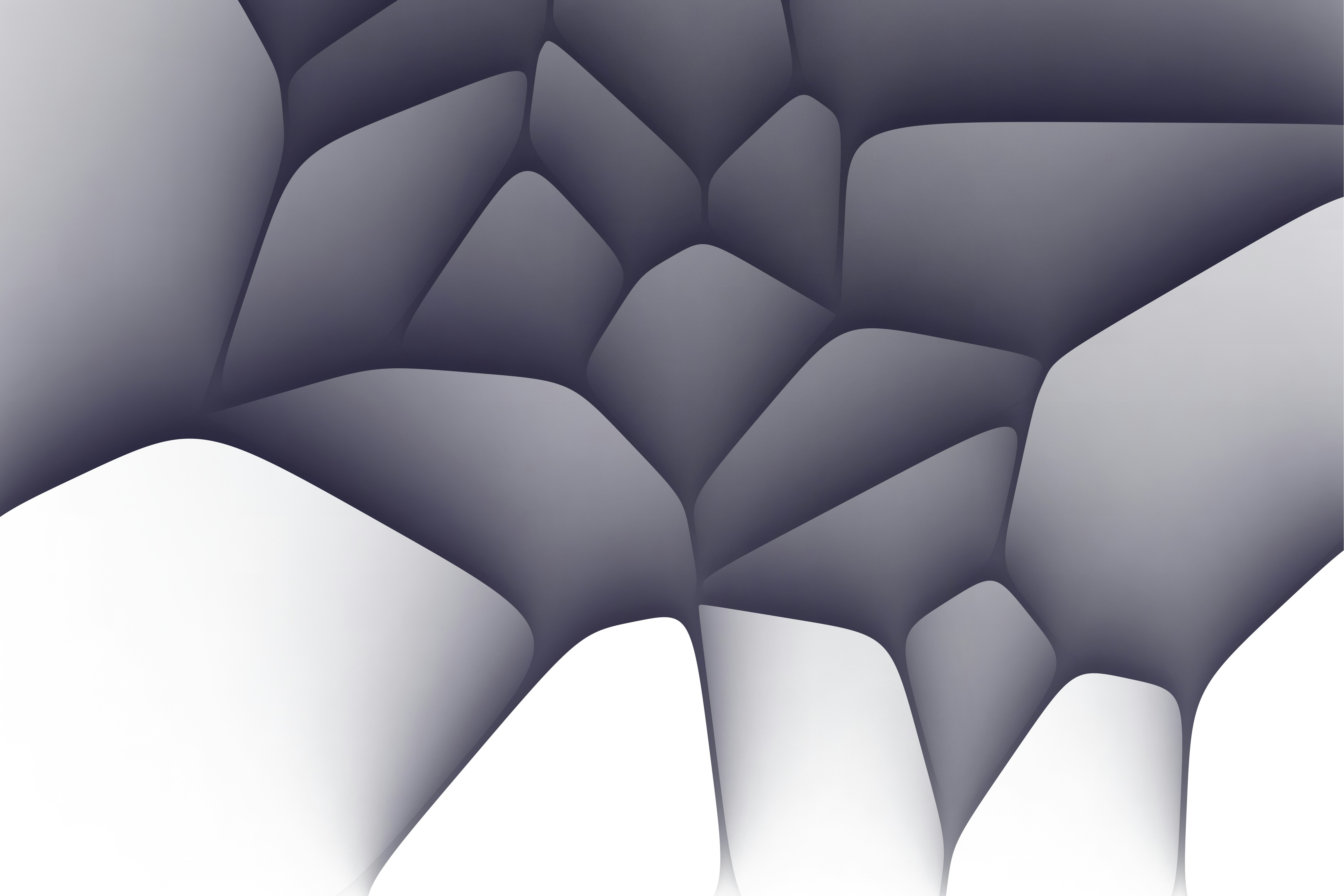 photo-1636690424408-4330adc3e583?ixid=M3wxMjA3fDB8MXxzZWFyY2h8NDR8fERlZXBzZWVrJTIwYWl8ZW58MHx8fHwxNzM4ODYxNzU0fDA%5Cu0026ixlib=rb-4.0.3