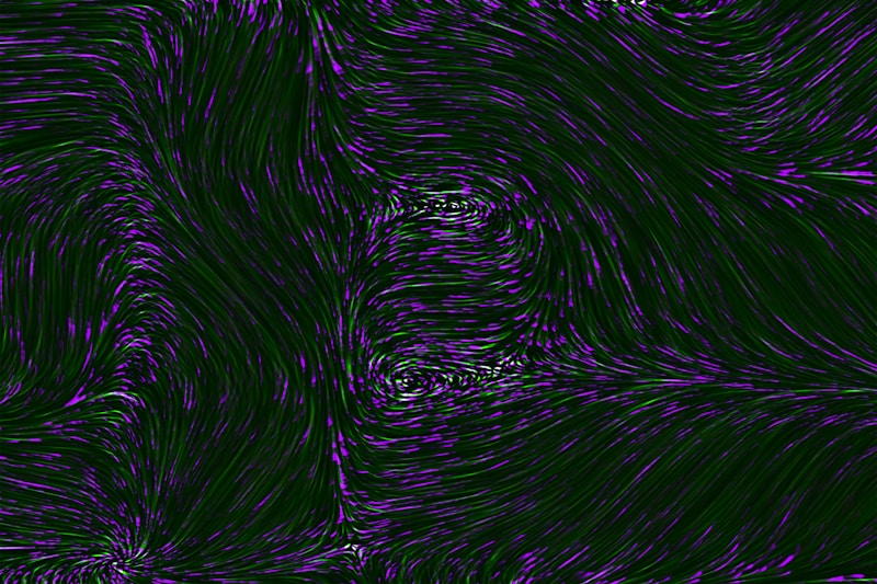 Random Image