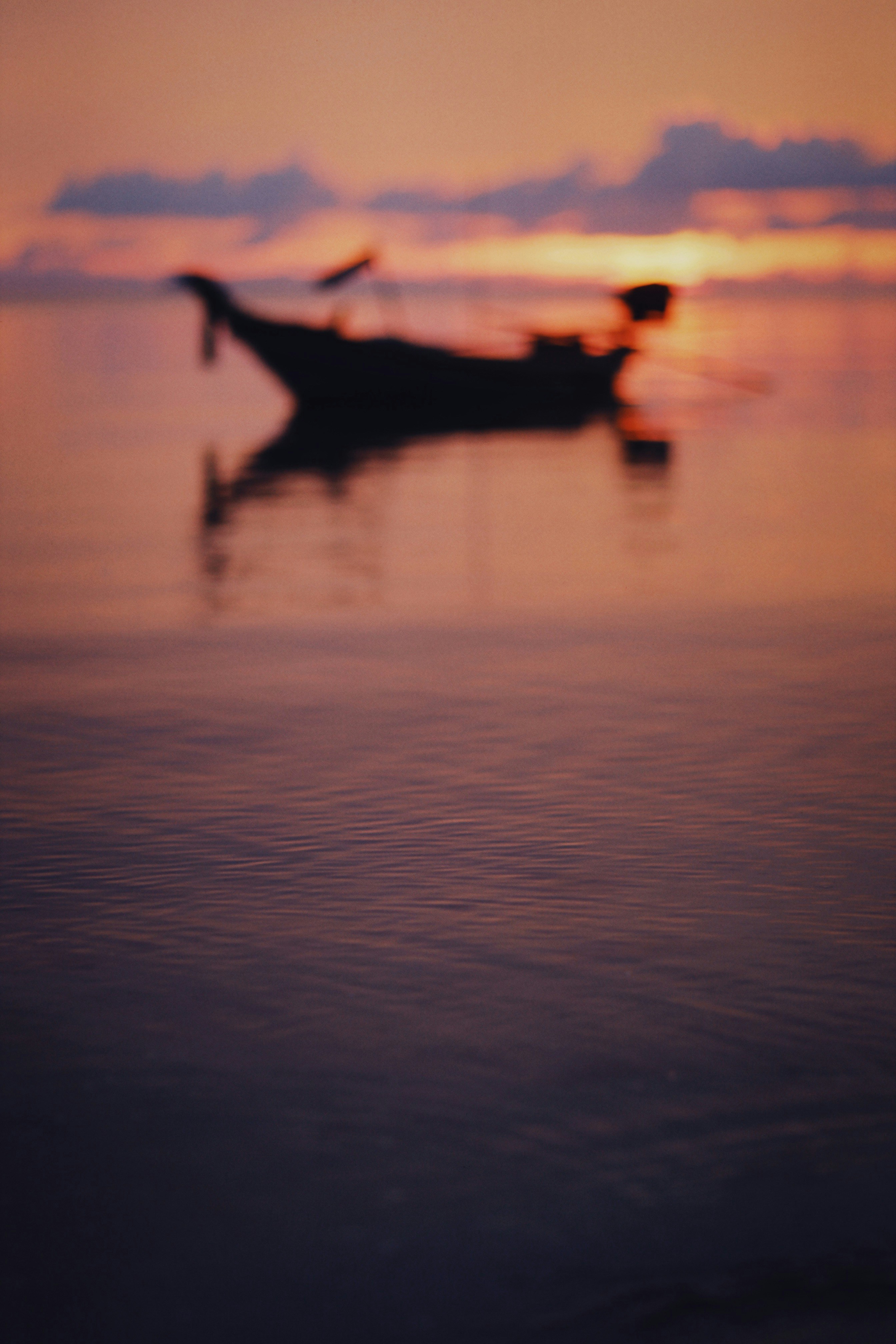 Photo by alexeydemidov